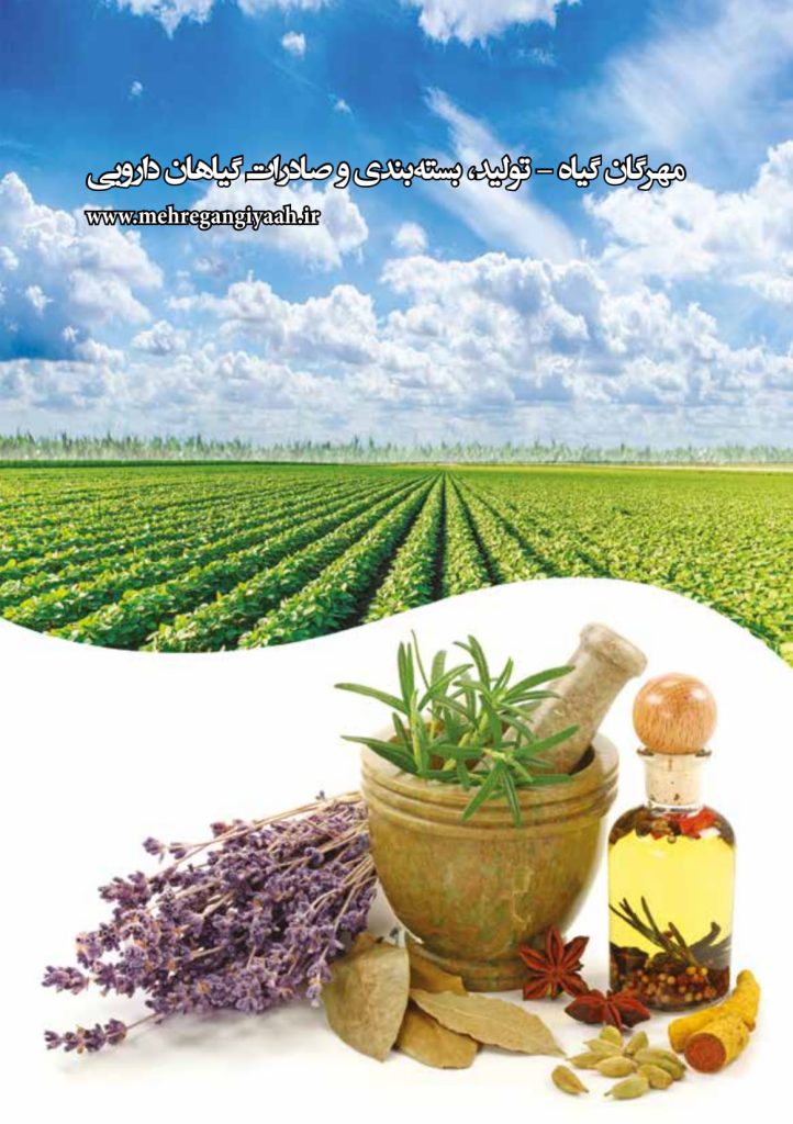 مهرگان گیاه